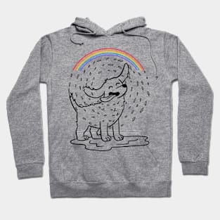 Dog Rainbow Hoodie